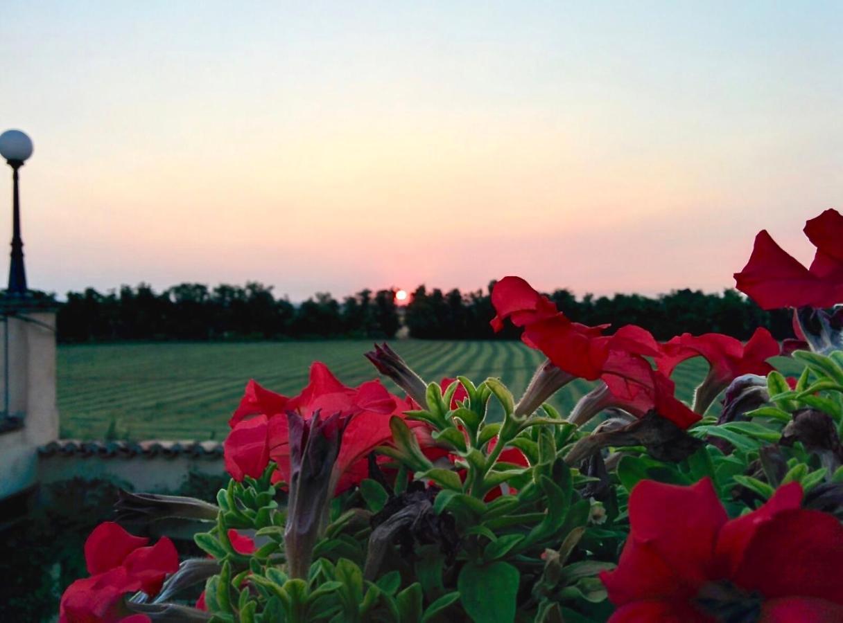Agriturismo Corte Bebbi Bibbiano  Eksteriør billede